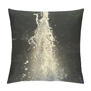 Personality  Jet Of Water From Fountain In Lake With Tree In Background Pillow Covers