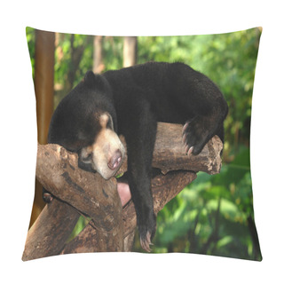 Personality  Sleeping Sun Bear Pillow Covers