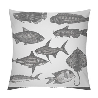 Personality  Set Of Sea Fishes. Retro Style Vector Illustration Pillow Covers