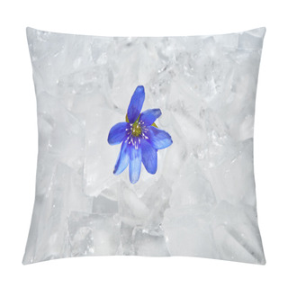 Personality  The First Spring Flower - Snowdrop- Growing From Ice Pillow Covers