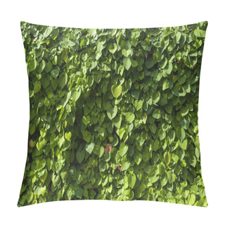 Personality  Bush Twigs With Green Leaves And Sunlight Pillow Covers