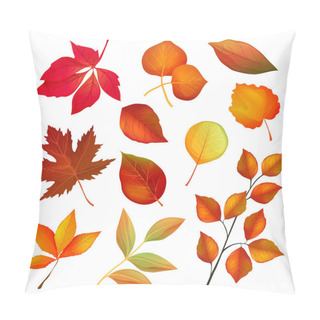 Personality  Decorative Autumn Leaves And Twigs, Vector Set Pillow Covers