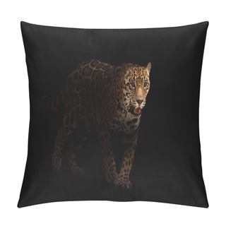 Personality  Jaguar ( Panthera Onca ) In The Dark Pillow Covers