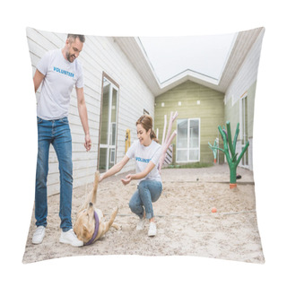 Personality  Happy Volunteers Of Animals Shelter Playing With Labrador Dog Pillow Covers