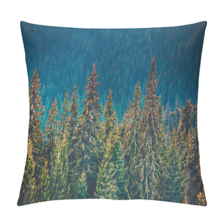 Personality  Pine Tree Forest In The Mountains Pillow Covers