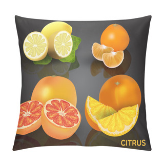 Personality  Set Of Citrus Fruits - Lemon, Orange, Grapefruit And Mandarin. Pillow Covers