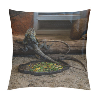 Personality  Big Lizards Sitting Around Old Dry Tree And Bowl With Food Pillow Covers