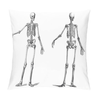 Personality  Human Skeleton Vintage Nineteenth Century Engraving Pillow Covers