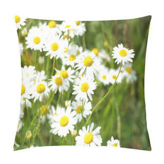 Personality  Camomile Blossoms Pillow Covers