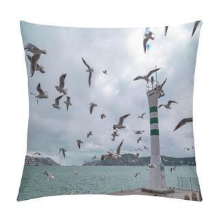 Personality  Flying Flock Of Seagulls On A Pier Near The Water On A Sunny Day. Seagulls Flying Near Light House. Light Waves On The Water. Stanbul Tarabya Pillow Covers