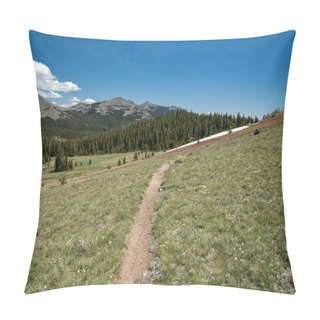 Personality  Hiking Trail Through Powder River Pass In The Bighorn Mountains Of Wyoming In Summer Pillow Covers