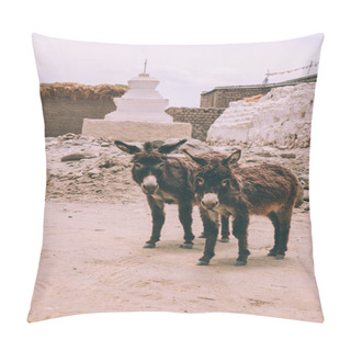 Personality  Donkeys Pillow Covers