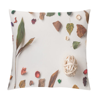 Personality  Shot Of Arranged Autumn Plants Pillow Covers
