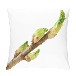 Personality  Currant Buds Pillow Covers