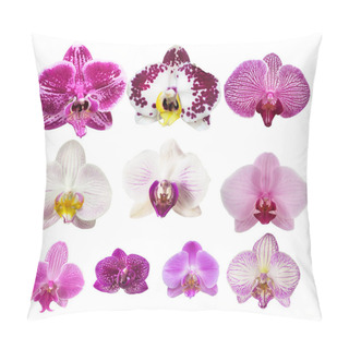 Personality  Detailed Set Of 10 Various Phalaenopsis Orchid Blooms   Isolated On White Background Pillow Covers