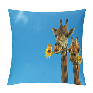 Personality  Two Lovely Giraffes On A Nice Blue Day Pillow Covers