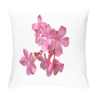Personality  Pink Oleander Flower And Leaves Isolated On White Background,with Clipping Pat Pillow Covers
