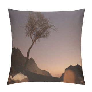 Personality  Bended Crooked Tree Silhouette In Desert In Crimson Colored Early Sunrise .. Pillow Covers