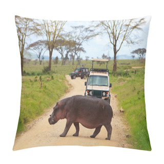Personality  Game Drive Pillow Covers