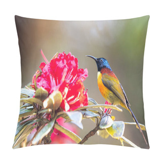 Personality  Close-up Of A Green-tailed Sunbird Feeding On A Red Rhododendron Flower Is In Bloom, A Subspecies Native To The Doi Inthanon, Thailand. Pillow Covers