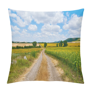Personality  Country Road Between Fields Pillow Covers