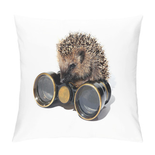 Personality  Small Forest Hedgehog With Old Binoculars Isolated Pillow Covers