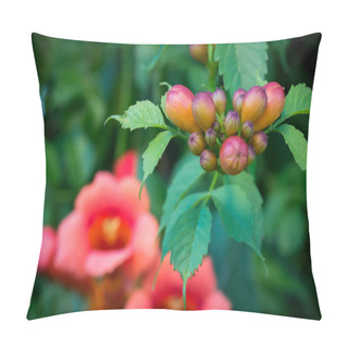 Personality  Trumpet Vine Blossoms Pillow Covers