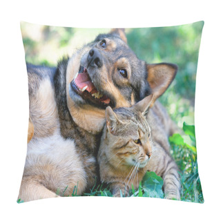 Personality  Dog And Cat Playing Together Outdoor Pillow Covers