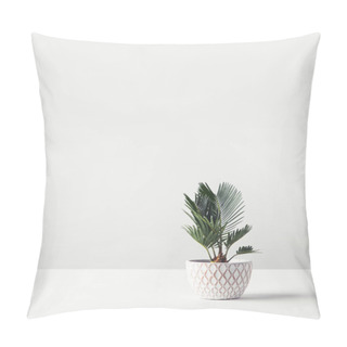 Personality  Beautiful Green Home Plant Growing In Decorative Pot On White   Pillow Covers