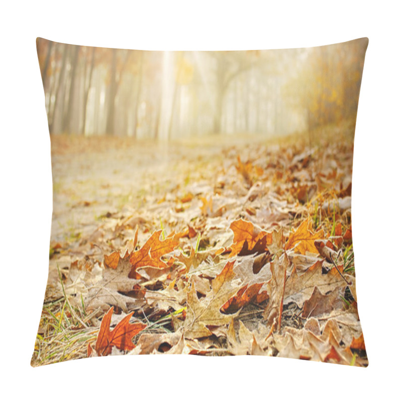Personality  Autumn Landscape Pillow Covers