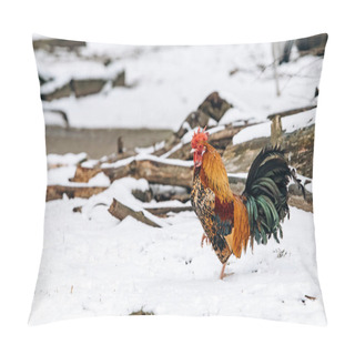 Personality  Beautiful Homemade Cock Walks In The Park On A Winter Day. Pillow Covers