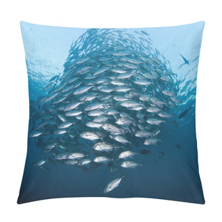 Personality  School Of Jacks Pillow Covers