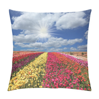 Personality  Field Of Flowers Buttercups Pillow Covers