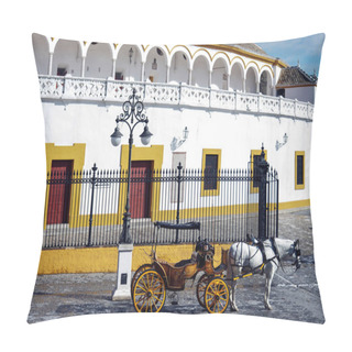 Personality  Horse And Carriage Standing Outside The Seville Bullring, Seville, Spain Pillow Covers