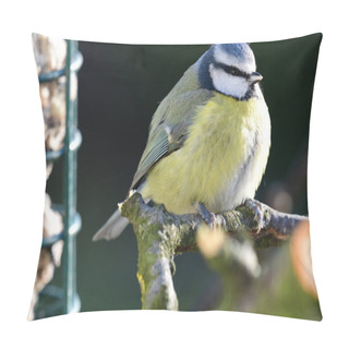 Personality  Close Up Of A Bluetit (cyanistes Caeruleus) Perching On A Branch Near A Bird Feeder Pillow Covers