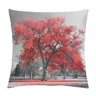 Personality  Big Red Tree Pillow Covers