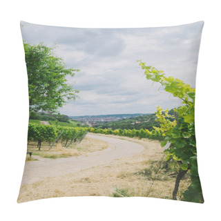 Personality  Road To Town And Vineyard On Sides In Wurzburg, Germany Pillow Covers