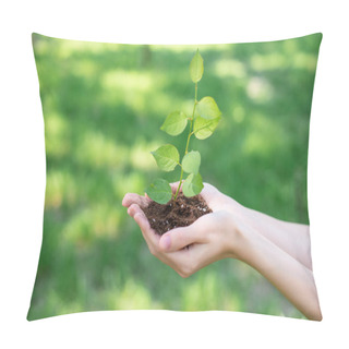 Personality  Cropped View Of Woman Holding Soil With Sprout In Hands Pillow Covers