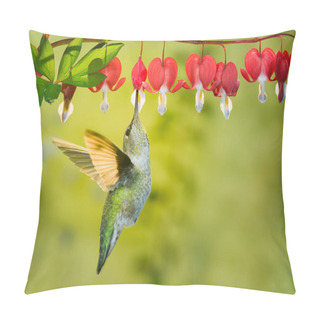 Personality  This Is A Photograph Of A Female Hummingbird Visiting Bleeding Heart Flowers Pillow Covers