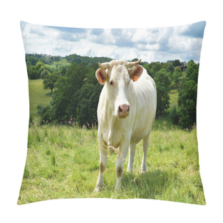 Personality  A Charolais Cow In A Green Pasture In The Countryside. Pillow Covers