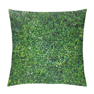 Personality  Green Leaves Natural Wall. Pillow Covers