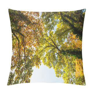 Personality  Vibrant Autumn Colors And Colorful Foliage Pillow Covers