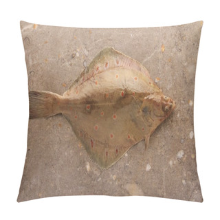 Personality  Fresh Sea Fish Pillow Covers