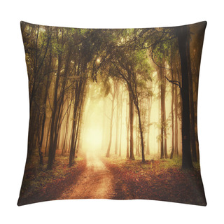 Personality Road Through A Golden Forest At Autumn Pillow Covers