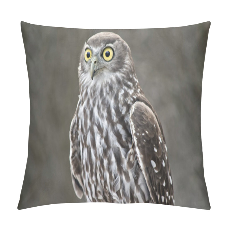Personality  this is a close up of a  barking owl pillow covers