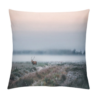 Personality  Red Deer With Antlers On Foggy Field The In Belarus. Pillow Covers
