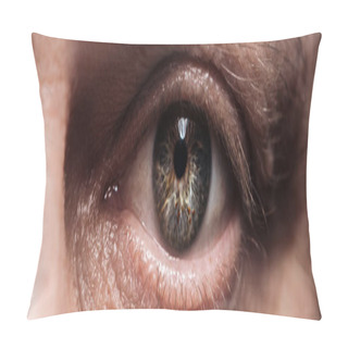 Personality  Close Up View Of Mature Human Eye Looking At Camera, Panoramic Shot Pillow Covers