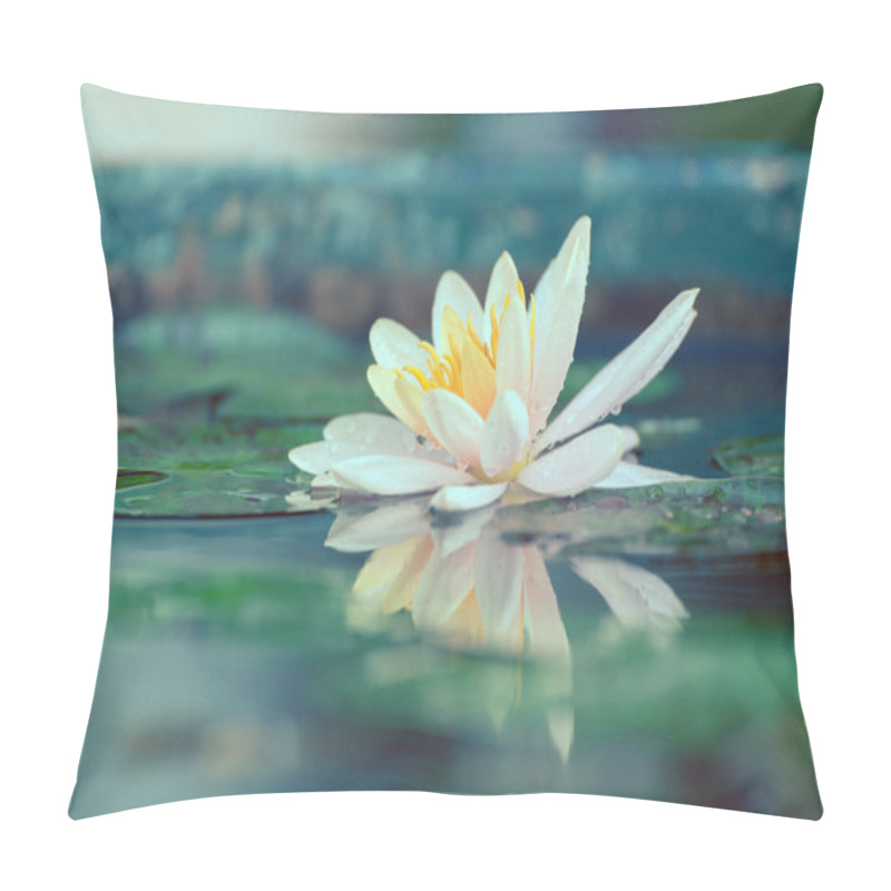Personality  waterlily or lotus flower in a pond with rain drop pastel or vin pillow covers