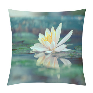 Personality  Waterlily Or Lotus Flower In A Pond With Rain Drop Pastel Or Vin Pillow Covers