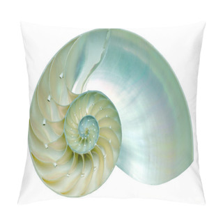 Personality  Nautilus Shell Section Isolated On Black Background Pillow Covers